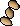 Palm tree seed 3.png